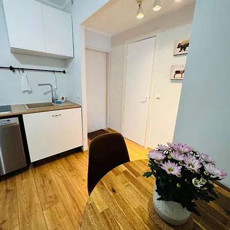 アパート Downtown 1br With Parking タリン